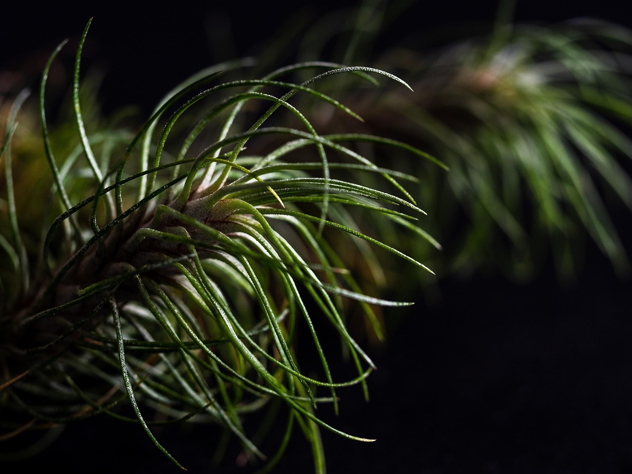 金洋2娱乐，注册|升降平台代理