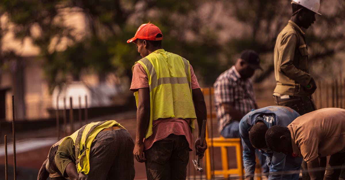 地城之光：会说话汤姆猫官方账号购买