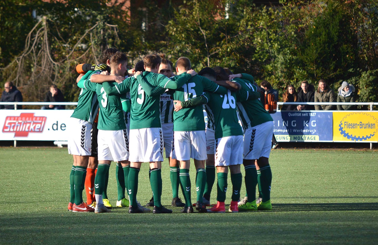 有嘴蓝骆驼：注册记账青岛代理