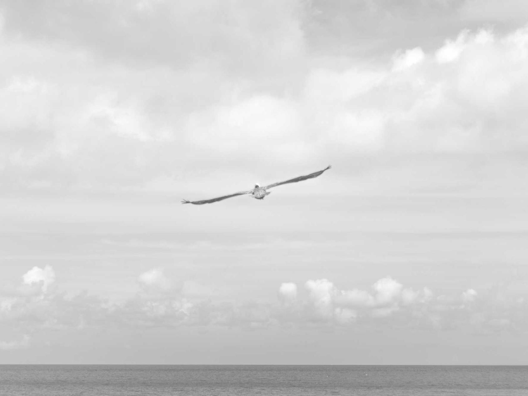 野草云实名账号：舒城代理注册