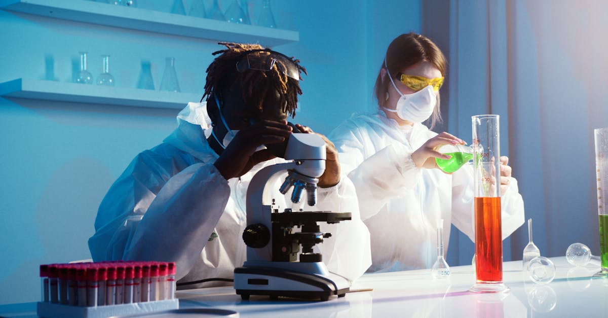 如何在SEO中使用网站结构 