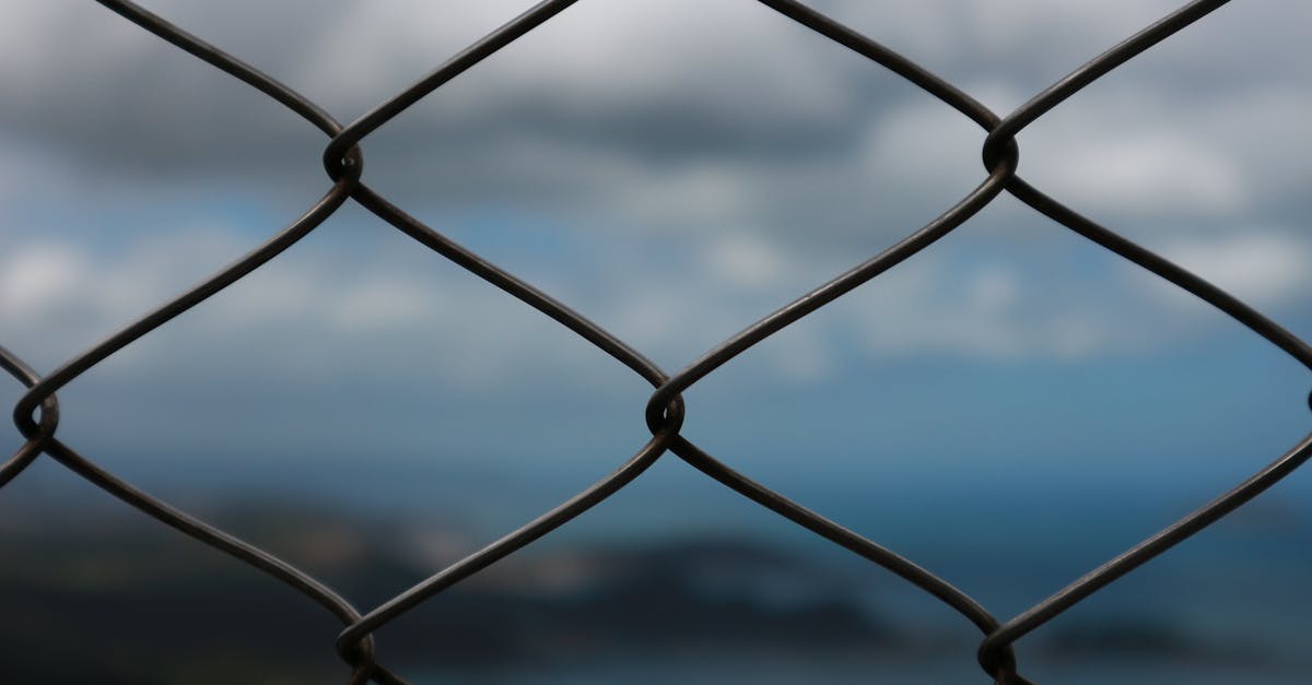 珍爱网实名账号:深圳交警app官网详情下载教程