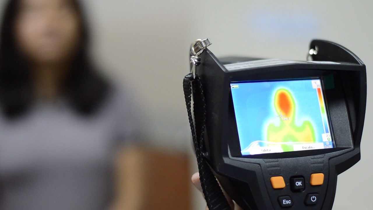 单株烟叶的品种和特点