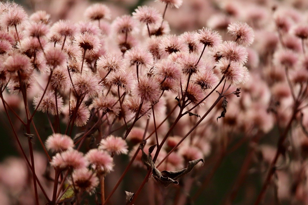 摩臣5甘肃好货平台代理